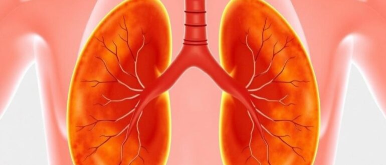 Гибкость знаний: как электронные атласы и клинические рекомендации превращают урологию в управляемое искусство