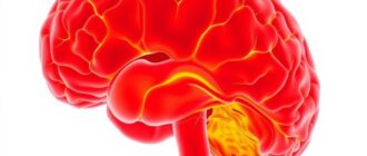 Неврология онлайн: учебники, атласы, кейсы — как выстроить эффективный маршрут обучения в цифровую эпоху